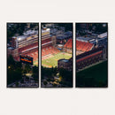 University of Illinois Fighting Illini Football Team Print -