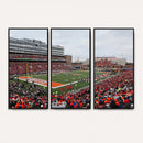 University of Illinois Fighting Illini Football Team Print -