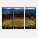 University of Illinois Fighting Illini Football Team Print -