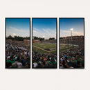 University of Charlotte 49ers Football Team Print -