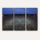 University of Michigan Wolverines Football Team Print - Ann