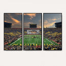University of Michigan Wolverines Print Canvas, Football