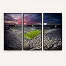 Penn State Nittany Lions Football Team Print - University