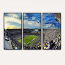 Framed USF Bulls Football Team Print - Tampa Raymond James