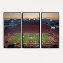Arizona Wildcats Football Team Print - Tucson Arizona