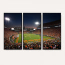 Clemson University Tigers Art Print, Football Team Print -