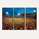 Clemson University Tigers Football Team Print - Clemson