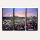 Indiana University Hoosiers Football Team Print -