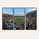 Michigan State Spartans Football Team Art Print - East
