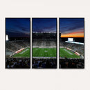 Michigan State Spartans Football Team Print - East Lansing