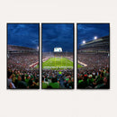 Michigan State Spartans Football Team Print - East Lansing