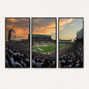 Michigan State Spartans Football Team Print - East Lansing