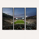 Michigan State Spartans Football Team Print - East Lansing