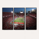 Ohio State University Buckeyes Football Team Print -