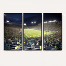 University of Oregon Ducks Football Team Print - Eugene