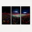 Rutgers Scarlet Knights Football Team Print - SHI Stadium,