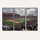 Rutgers Scarlet Knights Football Team Print - SHI Stadium,
