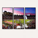 Stanford University Cardinal Football Team Print - Stanford
