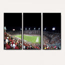 Stanford University Cardinal Football Team Print - Stanford