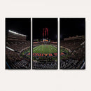 Framed Texas Tech Red Raiders Stadium Canvas, Texas Tech Red