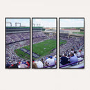 The Texas Christian University TCU Horned Frogs Football