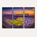 The Louisiana State University Tigers Football Team Print -