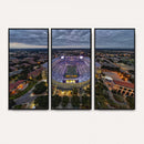 The Louisiana State University Tigers Football Team Print -