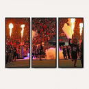 The University of Texas at San Antonio Roadrunners Football