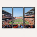 Oregon State Beavers Football Team Print - Corvallis Reser