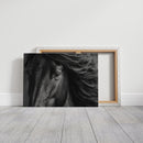 Window to the Wild Soul