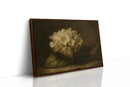Faded Elegance Hydrangea