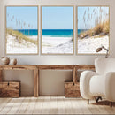 Serene Coastal Dune Path with Ocean View, 3-Panel Beach