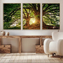 Majestic Ancient Tree Wall Art, NatureCanvas Print, Woodland by MyGreatCanvas | Canvas Wall Art Prints | Photo Prints & Wall Decor