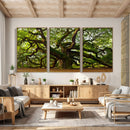 Angel Oak Tree Wall Art Canvas Print | Forest Tree Nature