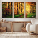 Sunlight Through Trees Wall Art Canvas Print - Autumn Forest