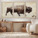 Buffalo Wall Art, Western Bison Canvas Print, Rustic Buffalo