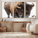 Bison Wall Art Canvas Print For Farmhouse, Wild Animal Wall by MyGreatCanvas | Canvas Wall Art Prints | Photo Prints & Wall Decor