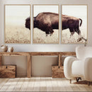 Bison in Field Wall Art Canvas Print For Farmhouse Barn