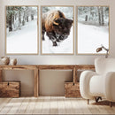 Bison Wall Art Canvas Print For Farmhouse, Animal Canvas