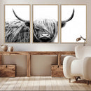 Black White Scottish Highland Cow Cattle Art Print Farmhouse by MyGreatCanvas | Canvas Wall Art Prints | Photo Prints & Wall Decor