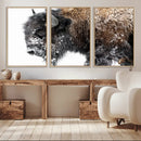 American Bison Wall Art Print – Majestic Buffalo Canvas