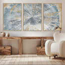 Radiant Abstract Wood Rings Canvas Art – Modern Triptych by MyGreatCanvas | Canvas Wall Art Prints | Photo Prints & Wall Decor