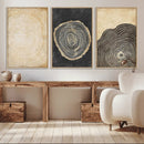 Tree Rings Canvas Wall Art Print – Minimalist Natural