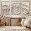 Tree Ring Wall Art Triptych, Rustic Wood Ring Canvas Print,