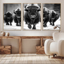 American Bison Art | Buffalo Herd Wall Art Canvas Print, BW