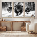 Buffalo Wall Art Canvas Print, Bison Family Wall Art Canvas by MyGreatCanvas | Canvas Wall Art Prints | Photo Prints & Wall Decor