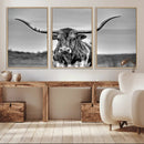 Texas Longhorn Cow Wall Art, Texas Longhorn Canvas, Cattle