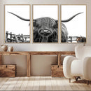 Longhorn Canvas Print, Bighorn Cow Wall Art Canvas Print