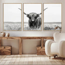 Highland Cow Canvas Wall Art – Majestic Beauty in Black and