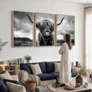 Scottish Cow Wall Art Canvas Print | Longhorn Wall Art |